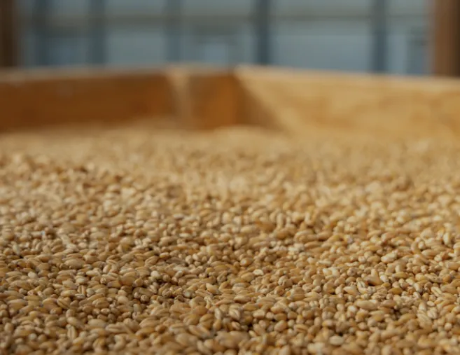 飼料輸送サービスの画像