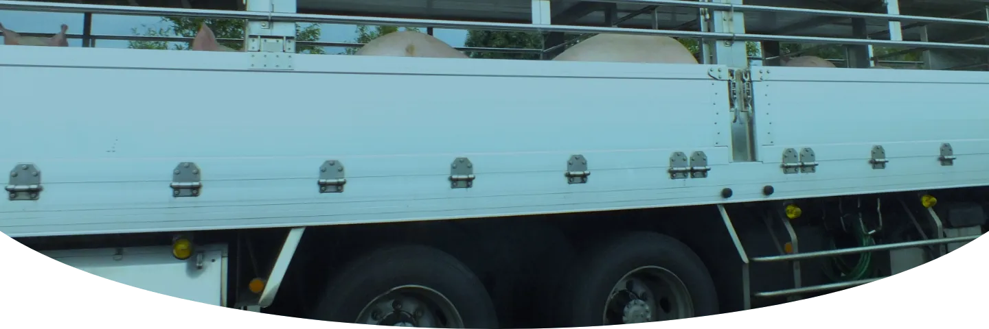 ファーストビュー