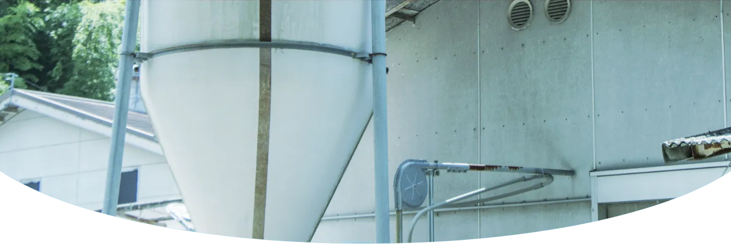 ファーストビュー